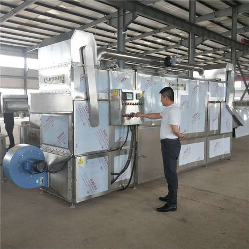 諸城市旺源機械 巴菊花熱風循環烘干機價格解析與專業計算機房維護服務指南