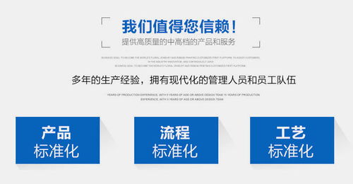 工廠直銷自動實心丸子機肉丸魚丸生產線 穩(wěn)定高效，現貨供應